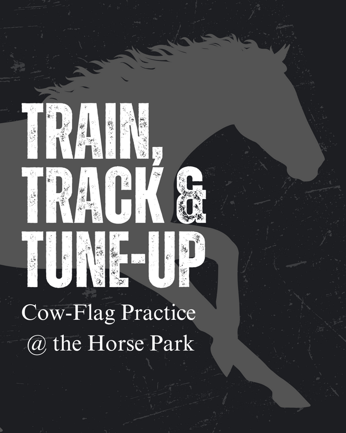 Train, Track & Tune Up