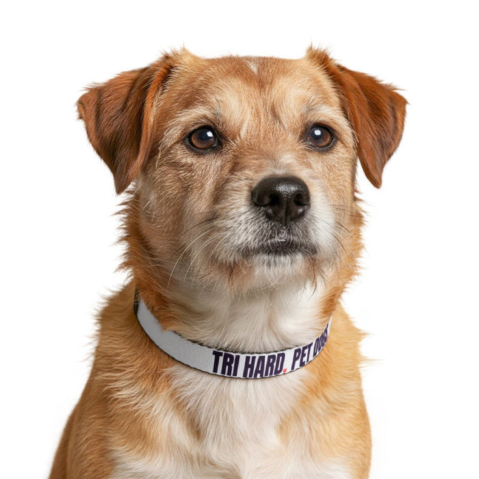 Tri Hard. Pet Dogs. collar