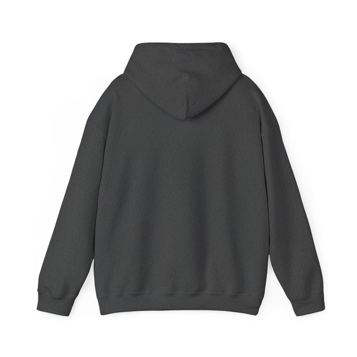 Triathlon Hoodie — "Sleep. Eat. Swim. Bike. Run. Repeat." Motivational Athletic Pullover