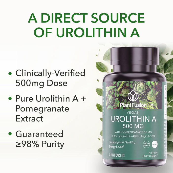 Urolithin A 500mg Supplement