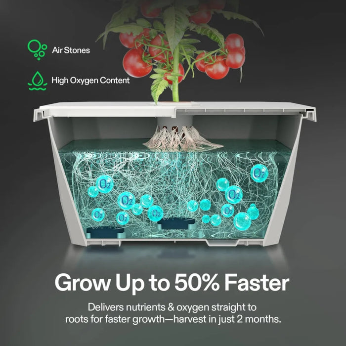 Vivosun Vgrow DWC Kit